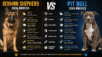 German Shepherd Dog Breeds vs. Pit Bull Dog Breeds